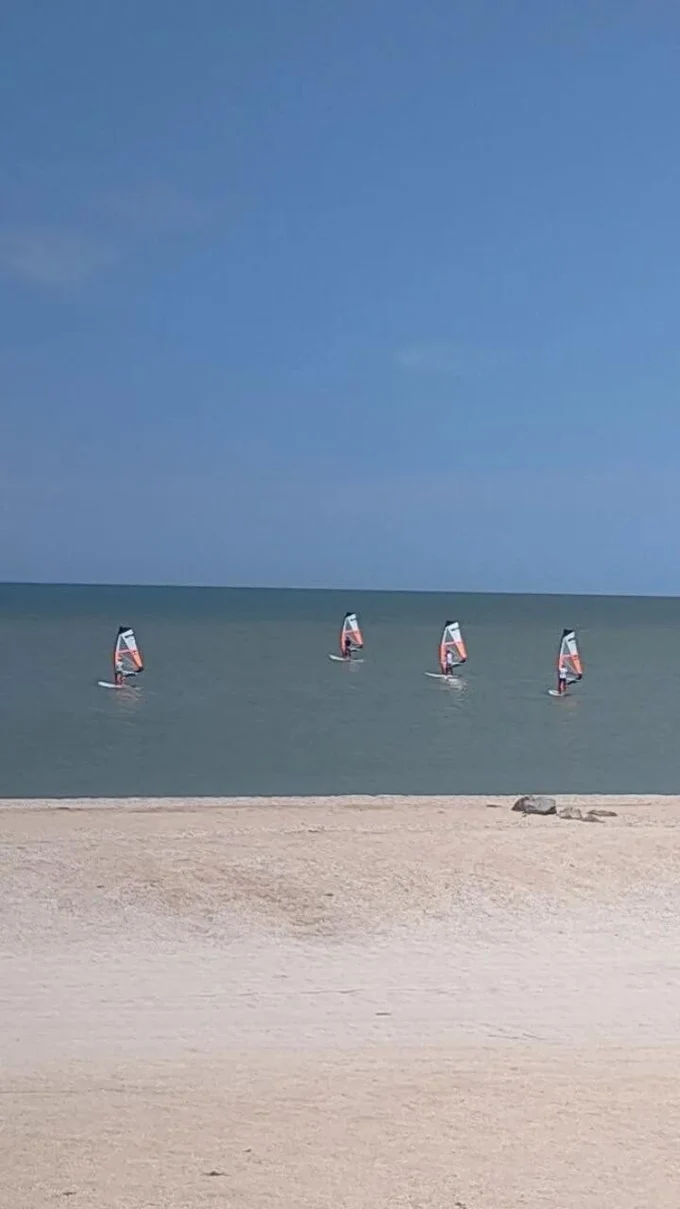 Виндсерфинг, кайтинг, Sup